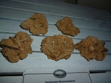 5  Sandrosen Drusen Bärbel