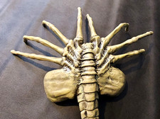 FACEHUGGER AUS ALIEN 1/1 Lebensgroße Replica ca 110 cm Länge Top