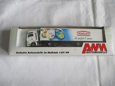 AWM Werbemodell Homann Truck