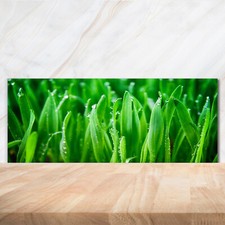 Küchenrückwand Spritzschutz