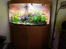 Aquarium 350 liter von juwel - 350,
