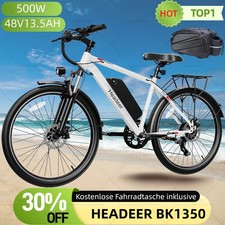 Elektrofahrrad 48V13.5Ah