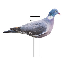 FA-25-500-03 lebende Holz