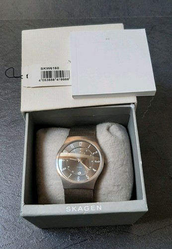 Skagen skw6160 herren - skw6160,