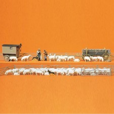 Shepherd and his sheep, 80