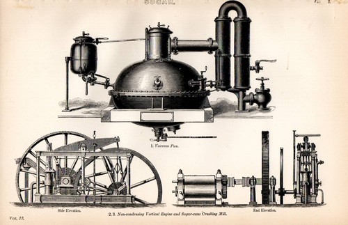 1880 aufdruck zucker - 1880,