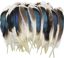 150PCS Duck Feathers, Natural