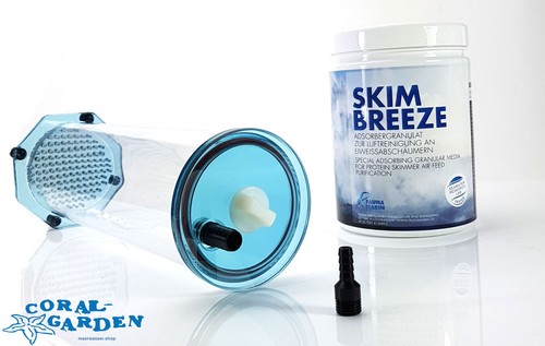 Fauna marin skim - fauna, breeze