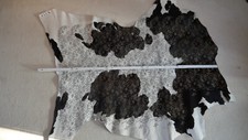 Kalbfell, Leder, Echt Leder