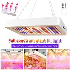 1600W Vollspektrum LED