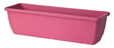 Blumenkasten 50 cm in pink