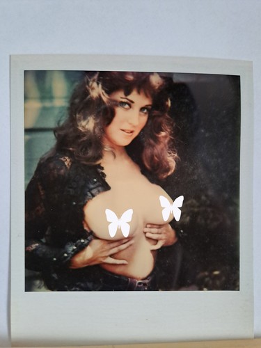 Vintage polaroidaufnahmen 6 - vintage,