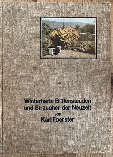 Karl foerster winterharte - karl,