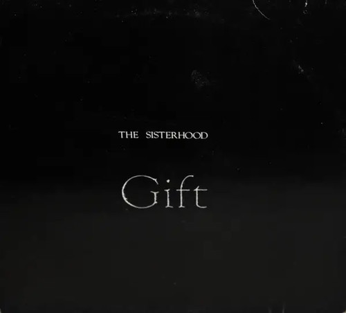 The sisterhood gift - sisterhood, near