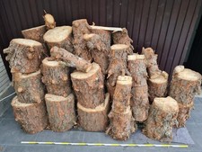 Brennholz, 2 Raummeter Fichtenstammholz, 40 cm Stümpfe, gefällt November 2023