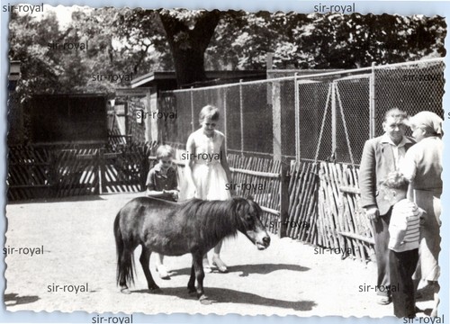 Zoo leipzig 1970er - zoo,