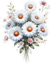 Aquarell Gänseblümchen Blume