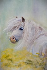 Shetland Pony blond painting