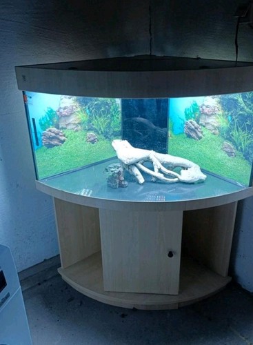 Woha glas aquarium - glas-aquarium, becken