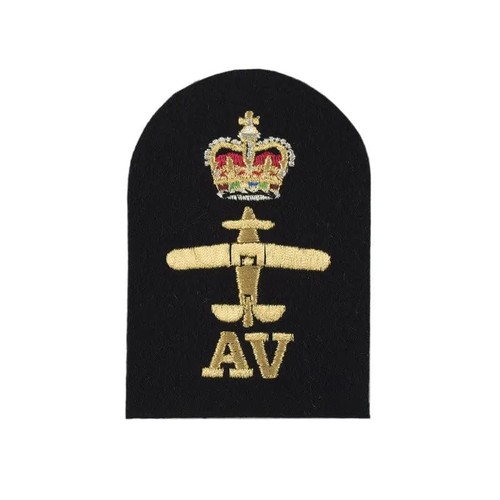 Avionics petty officer - (av),