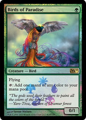 Paradiesvögel foil premium - /,