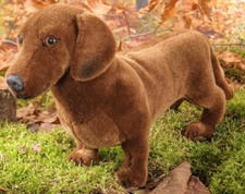 Dachshund dog by Kosen /
