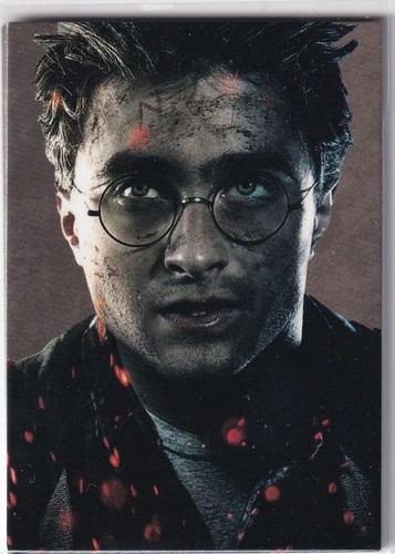 Panini harry potter evolution - potter,