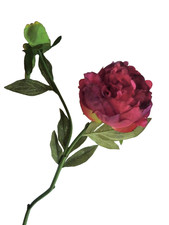 Pfingstrose künstlich Fuchsia