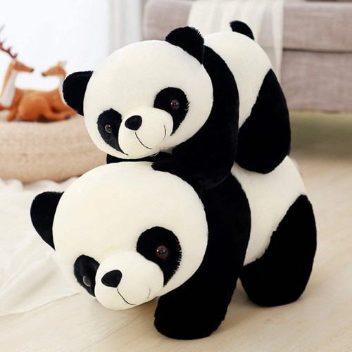 Panda kuscheltier 20 - panda,