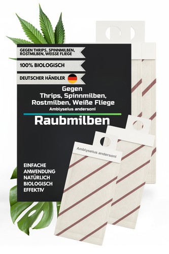 Raubmilben amblyseius - raubmilben,