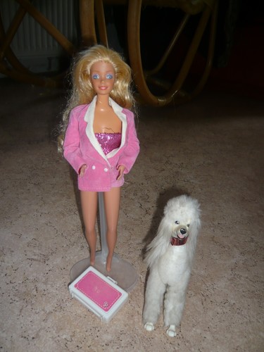 Barbie pudel day - pudel, night