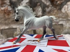 Copperfox 'Percival' GLOSSY