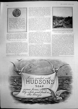 Alter Druck Jagdschein Kaiser Abessinien Sport Expedition Harar 1903 20.