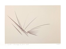 Serigraphie von Siegward