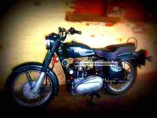 Royal Enfield Diesel Taurus