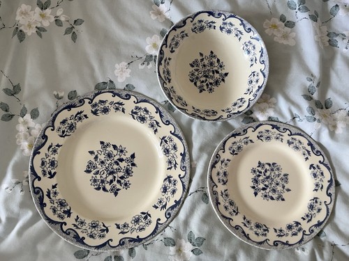 Royal stafford blue - stafford, floral