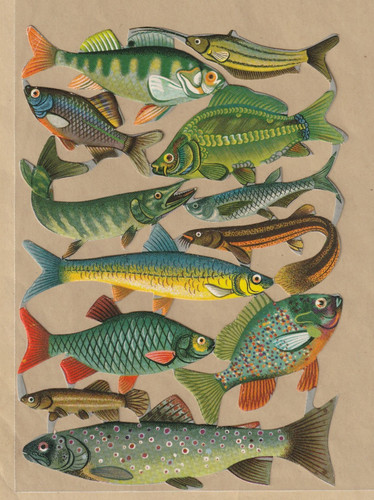 Ddr stammbuchbilder fische - ddr,