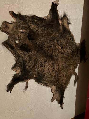 Wildschweinfell