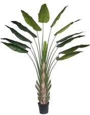 artplants Künstliche