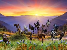 Schleich Tiere Pferde Pony Fohlen Reiter Sattel Set Sammlung Konvolut