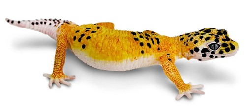 Safari ltd 102504 leopardgecko - 102504,