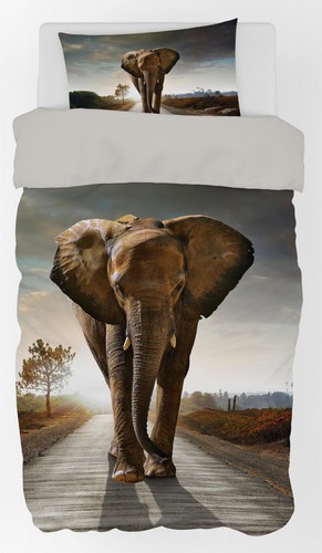 Elefant afrika safari - elefant,