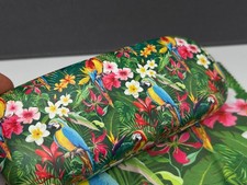 Brillenetui Hartschale Papagei