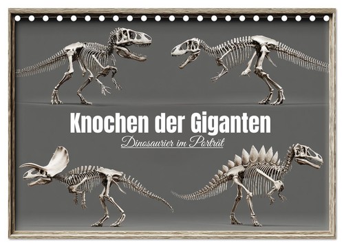 Knochen der giganten - knochen,