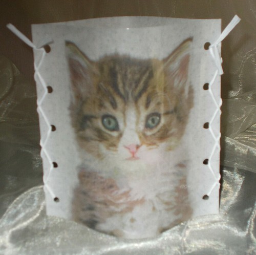 Dekowindlicht katze shabby - dekowindlicht,