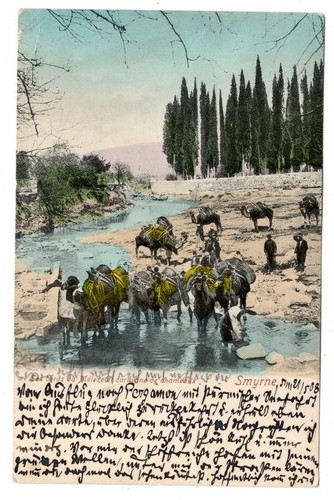 Türkei 1908 karawane im - türkei,