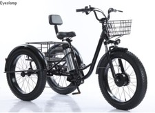 20-Zoll-Elektrik-Trike 500W 48