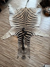 Zebrafell Echt 3m x 2m aus Südafrika