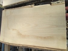 3 x Eschenholz, Baumkante