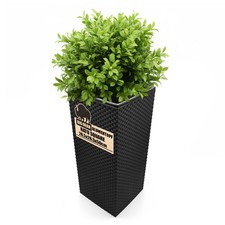 Blumentopf in Rattan-Optik